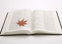 精英对决呈现异彩纷呈，赛场气氛火爆